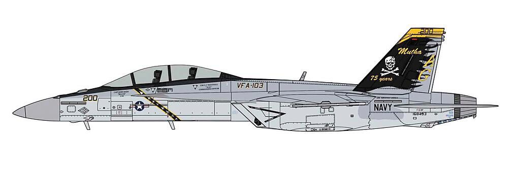 Hasegawa 7552 1/48 F/A-18F Super Hornet Vfa