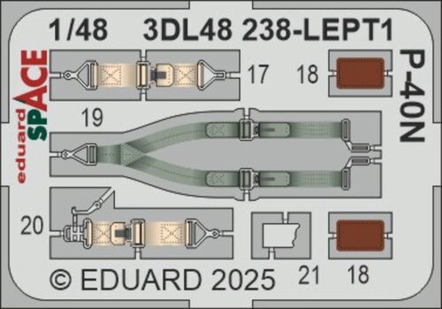 Eduard Accessories 3DL48238 P-40N SPACE  EDUARD