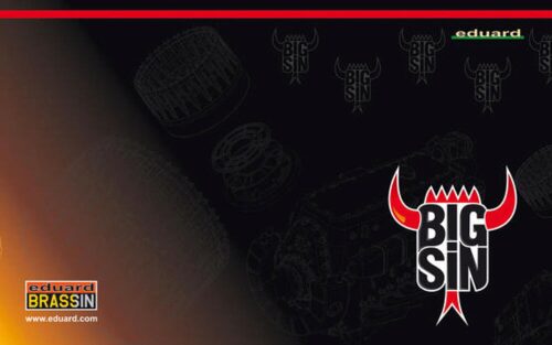 Eduard Accessories SIN648141 P-40E ESSENTIAL  EDUARD