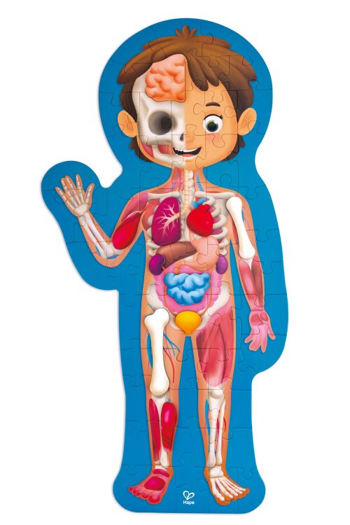 HAPE E1635A Human Body Puzzle