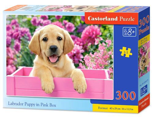 Castorland B-030071 Labrador Puppy in Pink Box,Puzzele 300 T