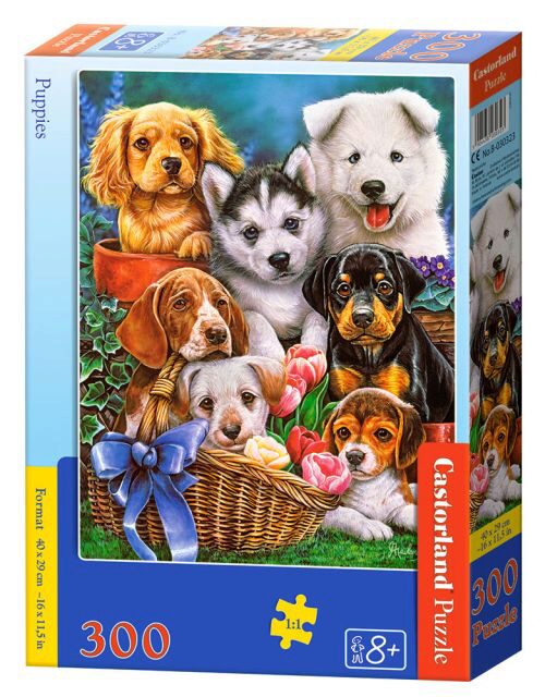 Castorland B-030323 Puppies, Puzzle 300 Teile