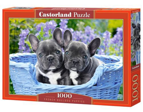 Castorland C-104246-2 French Bulldog Puppies,Puzzle 1000 Teile