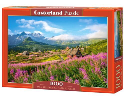 Castorland C-104512-2 Hala Gsienicowa, Tatras, Poland, Puzzle 1000 Teile