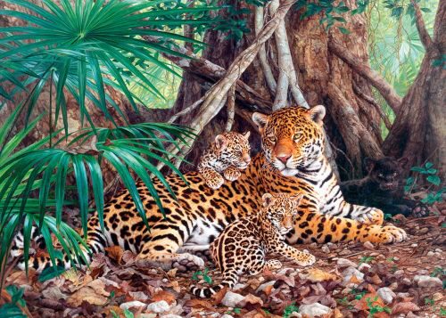 Castorland C-300280 Jaguars in the jungle,Puzzle 3000 Teile
