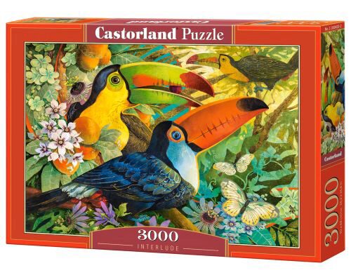 Castorland C-300433-2 Interlude, Puzzle 3000 Teile