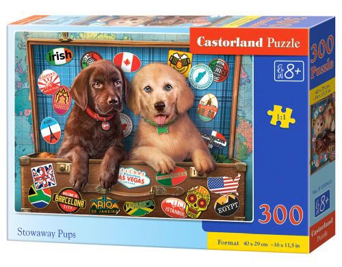 Labrador Puppy In Pink Box,Puzzele 300 Teile Neu Castorland B-030071 