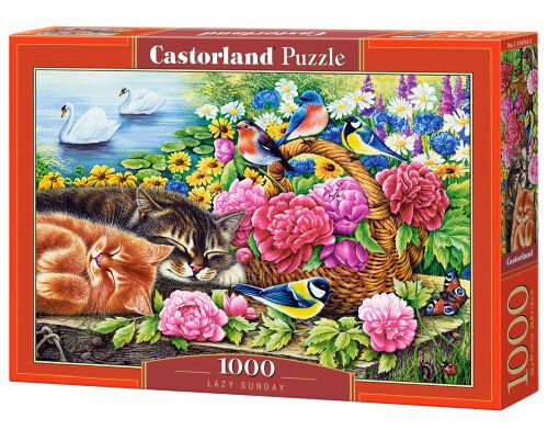 Castorland C-104765-2 Lazy Sunday Puzzle 1000 Teile