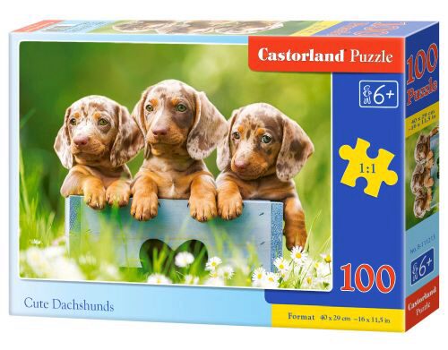 Castorland B-111213 Cute Dachshunds, Puzzle 100 Teile