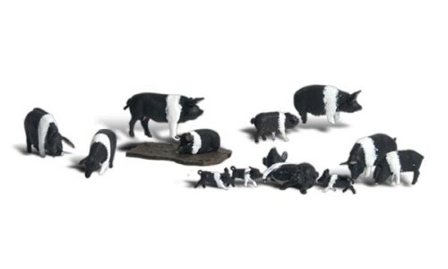 Woodland A1864 H0 Hampshire-Schweine