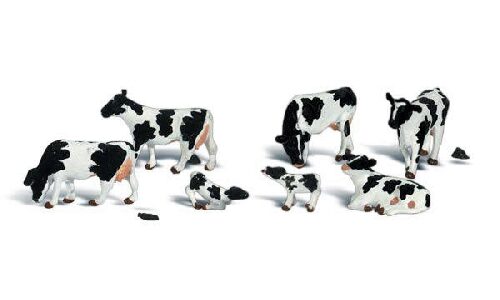 Woodland A2724 O Holstein Cows