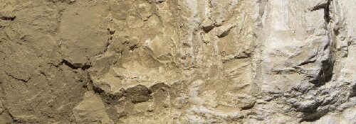 Woodland C1223 Landschaftsbaufarbe Gelbocker