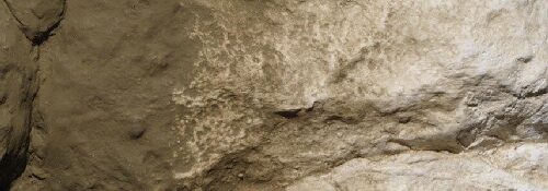 Woodland C1229 Landschaftsbaufarbe Erdfarb-Untergrund