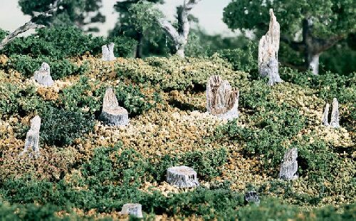 Woodland S32 Baumstümpfe abgebrochen, 14 tlg.