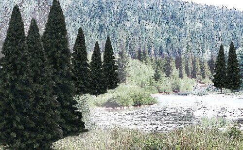 Woodland TR1585 2-4'Rm Real Evergreen Bl 18/Pk