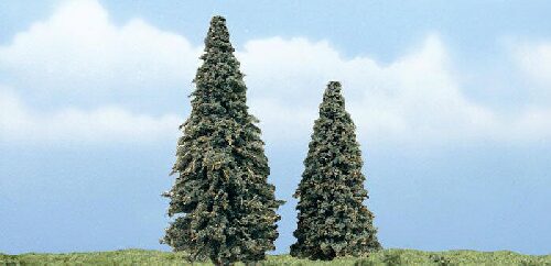 Woodland TR1625 3'-4' Prem Conifer 2/Pk