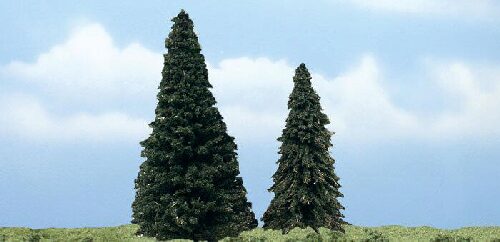 Woodland TR1626 4'-5' Prem Evergreen 2/Pk