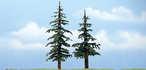 Woodland TR1628 5'-6' Prem Lodgepole 2/Pk