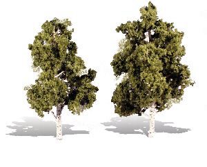 Woodland TR3537 6'-7'  Waters Edge 2/Pk