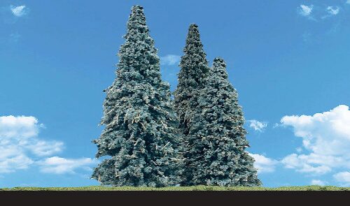 Woodland TR3566 2 '-3 1/2' Blue Needle 5/Pk