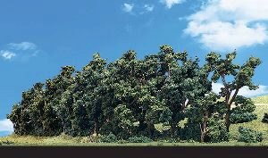 Woodland TR3582 1'-4' Hedgerow