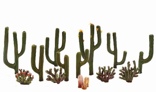 Woodland TR3600 1/2-2 1/2' Cactus Plants 13/Pk