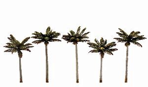 Woodland TR3597 3-3 3/4' Sm Palm Trees 5/Pk